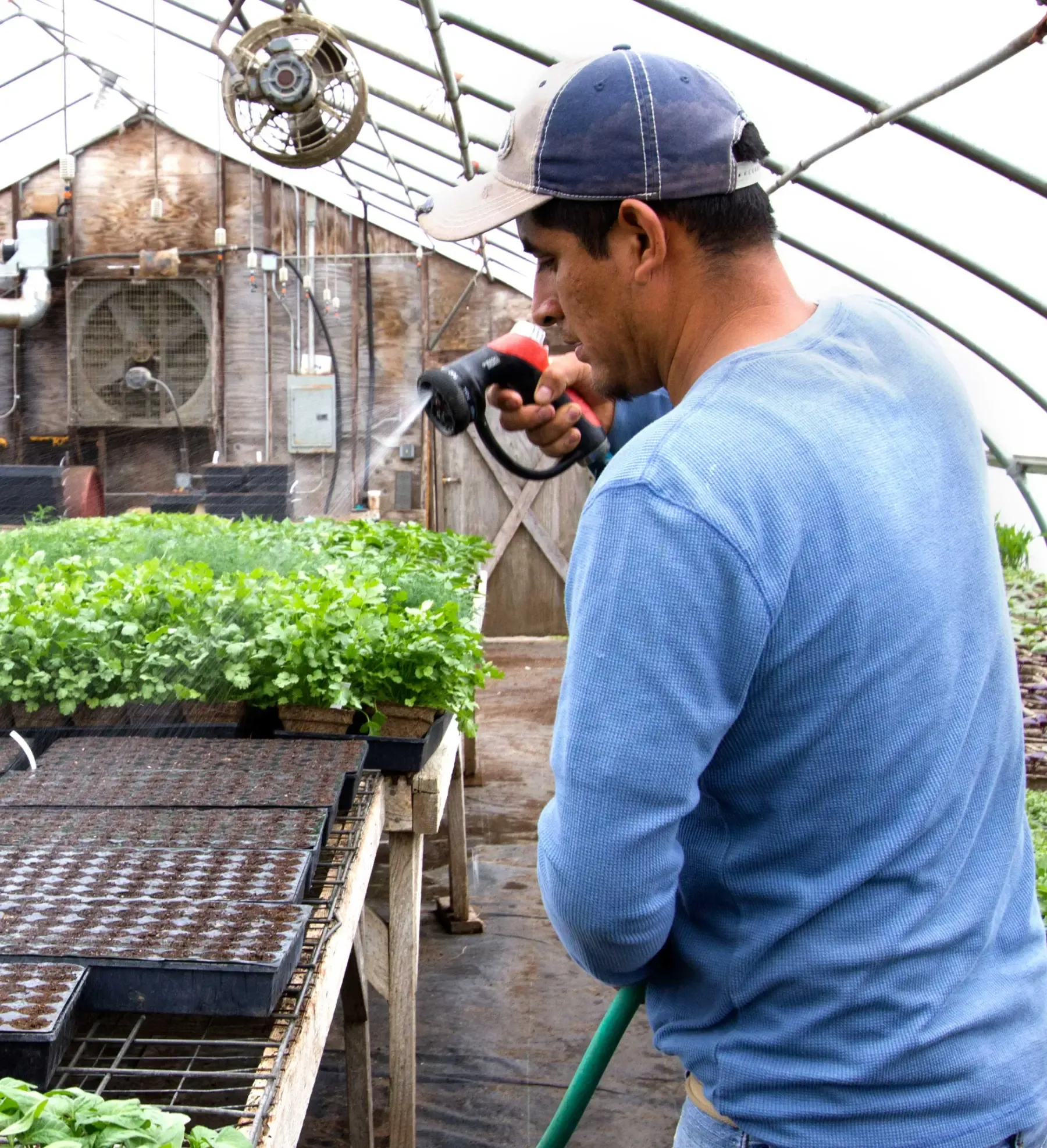 McEnroe Organic Farm location